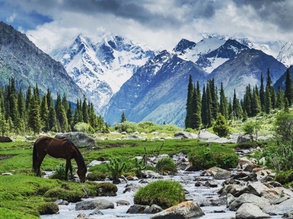 تور نوروزی گرجستان باتومی و تفلیس 7 روزه